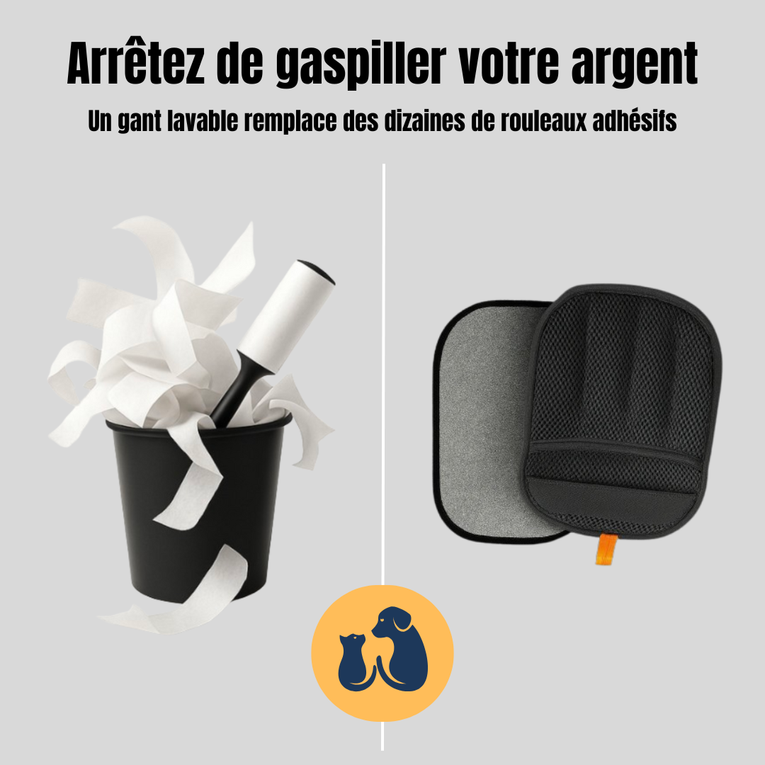 Swipe'Hair - Attrape-Poils pour animaux Adopté par des Milliers de Foyers Français